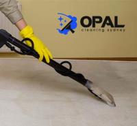 Opal Mattress Cleaning Sydney image 4